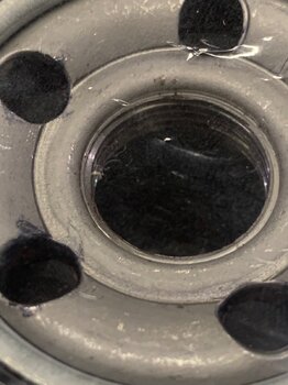 IMG_6934.jpeg