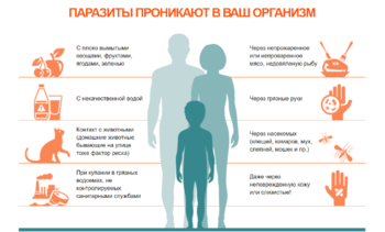 паразиты.png