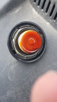 20240805_123539.jpg