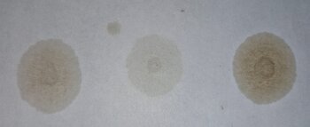 20250614_113546.jpg