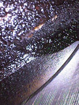 879309730_Photo_2025-05-2515_07_36_189.thumb.JPG.564e8e47dff574f1f848f511bfafa71e.JPG