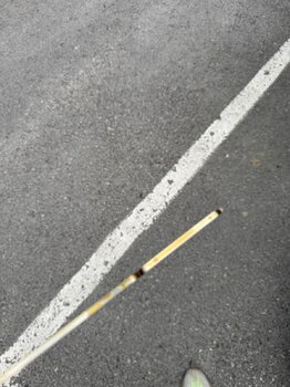IMG_0194.jpeg
