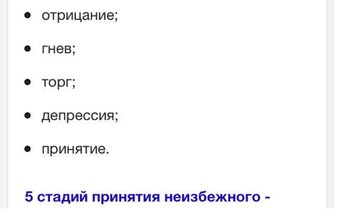 IMG_0233.jpeg