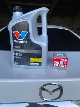 IMG_0419.jpeg