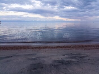 IMG_20240525_201138.jpg
