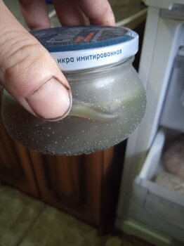 IMG_20250619_065819.jpg