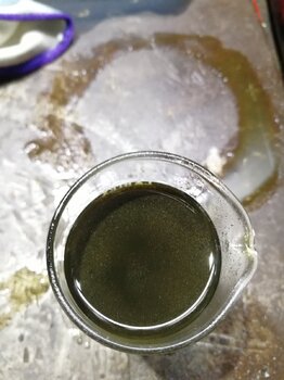 IMG_20250619_102933.jpg