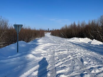 IMG_5167.jpeg