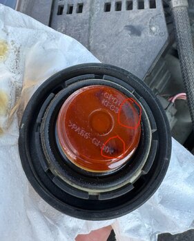 IMG_8117.jpeg
