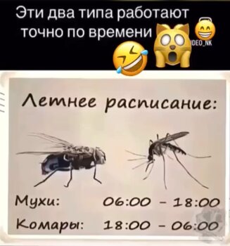 IMG_9148.jpeg