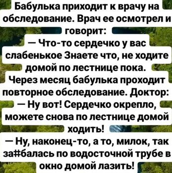 65.jpg