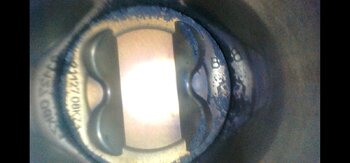 IMG-20250502-WA0009(1).thumb.jpg.649fa6861abbbc4e68bb3ad33e20cb7a.jpg