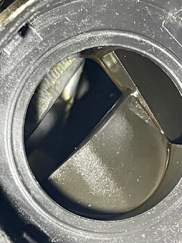 IMG_0772.thumb.jpeg.cd63bdf7fa2d4bc575c3499d245f68f1.jpeg