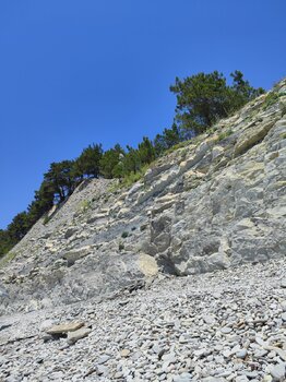 IMG_20250710_122516.jpg