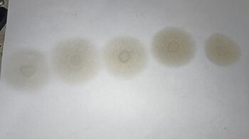 IMG_20250723_174707.jpg