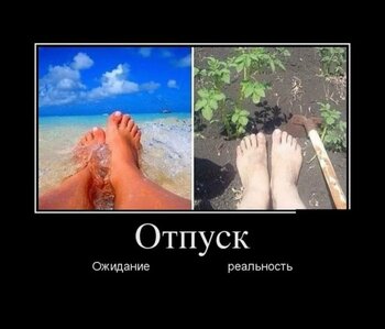 IMG_9415.jpeg