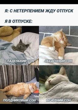IMG_9417.jpeg