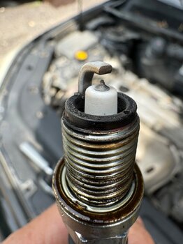 IMG_9451.jpeg