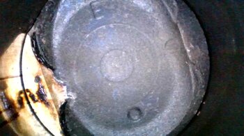 IMG_9459.jpeg