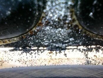 IMG_9464.jpeg