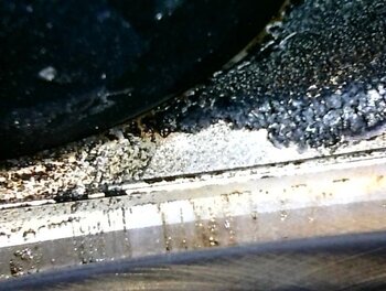 IMG_9465.jpeg