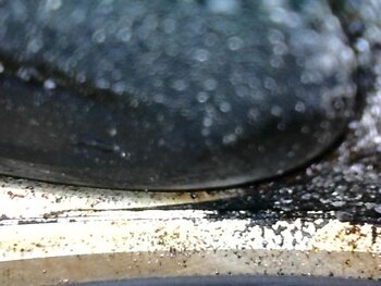 IMG_9468.jpeg