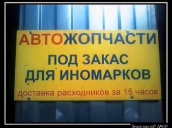 IMG_9480.jpeg